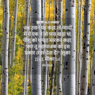 Picture 04 - यूहन्ना 18:22 HINIRV - जब उसने यह कहा, तो - Bible Verse Picture