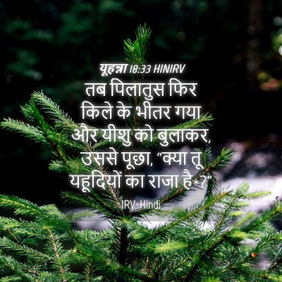 Picture 04 - यूहन्ना 18:33 HINIRV - तब पिलातुस फिर - Bible Verse Picture