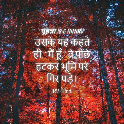Picture 04 - यूहन्ना 18:6 HINIRV - उसके यह कहते ही, - Bible Verse Picture