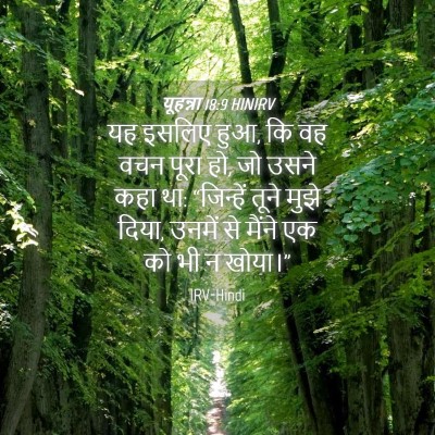 Picture 04 - यूहन्ना 18:9 HINIRV - यह इसलिए हुआ, कि वह - Bible Verse Picture