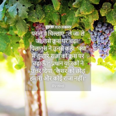Picture 04 - यूहन्ना 19:15 HINIRV - परन्तु वे चिल्लाए, - Bible Verse Picture