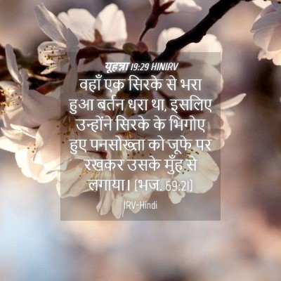 Picture 04 - यूहन्ना 19:29 HINIRV - वहाँ एक सिरके से - Bible Verse Picture