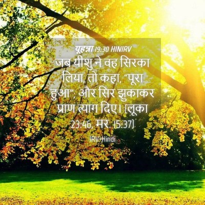 Picture 04 - यूहन्ना 19:30 HINIRV - जब यीशु ने वह सिरका - Bible Verse Picture