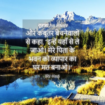 Picture 04 - यूहन्ना 2:16 HINIRV - और कबूतर - Bible Verse Picture