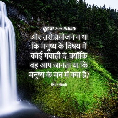 Picture 04 - यूहन्ना 2:25 HINIRV - और उसे प्रयोजन न था - Bible Verse Picture