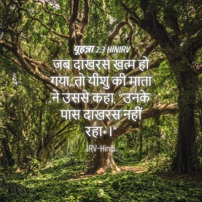 Picture 04 - यूहन्ना 2:3 HINIRV - जब दाखरस खत्म हो - Bible Verse Picture