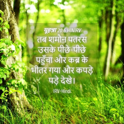 Picture 04 - यूहन्ना 20:6 HINIRV - तब शमौन पतरस उसके - Bible Verse Picture