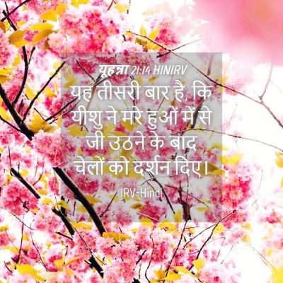 Picture 04 - यूहन्ना 21:14 HINIRV - यह तीसरी बार है, कि - Bible Verse Picture