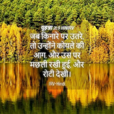 Picture 04 - यूहन्ना 21:9 HINIRV - जब किनारे पर उतरे, - Bible Verse Picture
