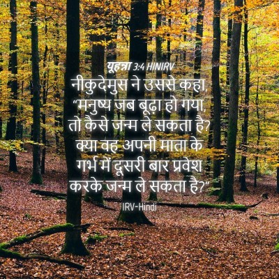 Picture 04 - यूहन्ना 3:4 HINIRV - नीकुदेमुस ने उससे - Bible Verse Picture