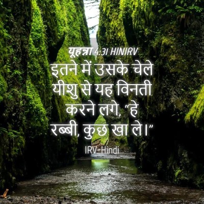 Picture 04 - यूहन्ना 4:31 HINIRV - इतने में उसके चेले - Bible Verse Picture