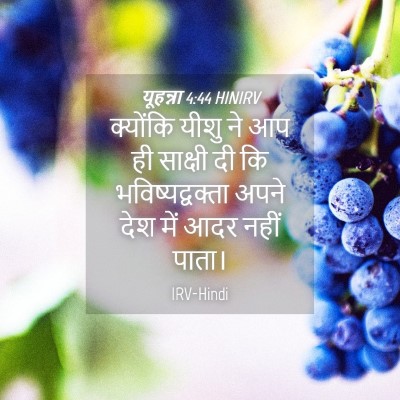 Picture 04 - यूहन्ना 4:44 HINIRV - क्योंकि यीशु ने आप - Bible Verse Picture