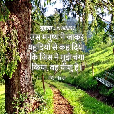 Picture 04 - यूहन्ना 5:15 HINIRV - उस मनुष्य ने जाकर - Bible Verse Picture