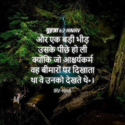 Picture 04 - यूहन्ना 6:2 HINIRV - और एक बड़ी भीड़ - Bible Verse Picture