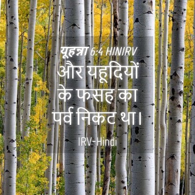 Picture 04 - यूहन्ना 6:4 HINIRV - और यहूदियों के फसह - Bible Verse Picture