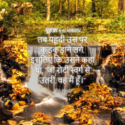 Picture 04 - यूहन्ना 6:41 HINIRV - तब यहूदी उस पर - Bible Verse Picture
