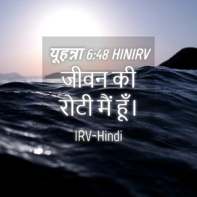Picture 04 - यूहन्ना 6:48 HINIRV - जीवन की रोटी मैं - Bible Verse Picture