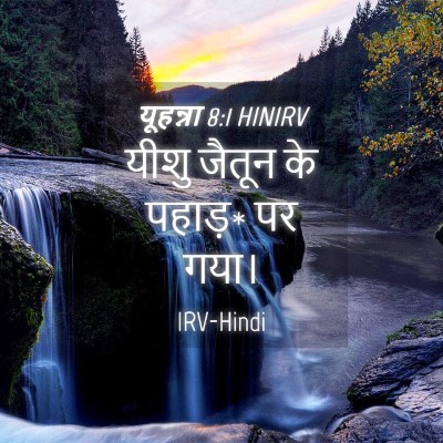 Picture 04 - यूहन्ना 8:1 HINIRV - यीशु जैतून के - Bible Verse Picture