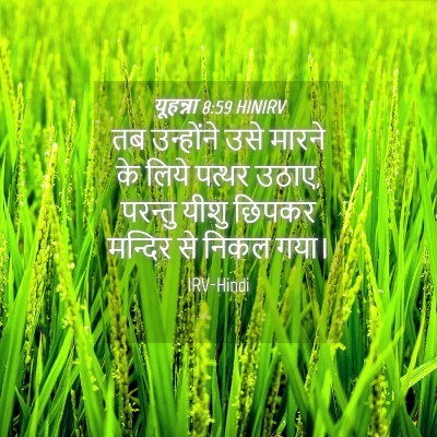 Picture 04 - यूहन्ना 8:59 HINIRV - तब उन्होंने उसे - Bible Verse Picture