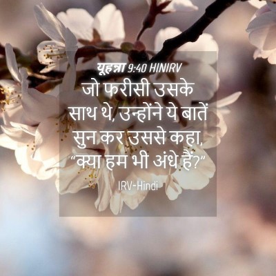 Picture 04 - यूहन्ना 9:40 HINIRV - जो फरीसी उसके साथ - Bible Verse Picture