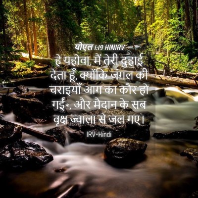 Picture 04 - योएल 1:19 HINIRV - हे यहोवा, मैं तेरी - Bible Verse Picture