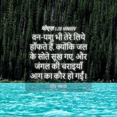 Picture 04 - योएल 1:20 HINIRV - वन-पशु भी तेरे लिये - Bible Verse Picture