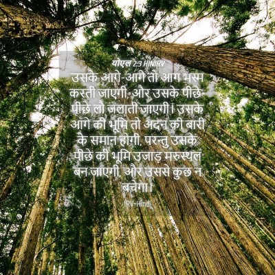 Picture 04 - योएल 2:3 HINIRV - उसके आगे-आगे तो आग - Bible Verse Picture