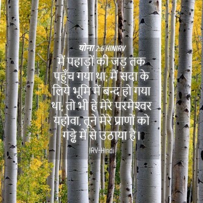 Picture 04 - योना 2:6 HINIRV - मैं पहाड़ों की जड़ - Bible Verse Picture