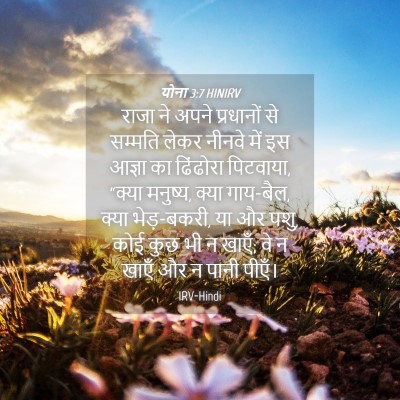 Picture 04 - योना 3:7 HINIRV - राजा ने अपने - Bible Verse Picture