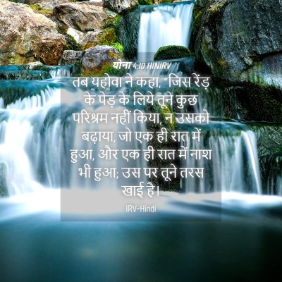 Picture 04 - योना 4:10 HINIRV - तब यहोवा ने कहा, - Bible Verse Picture