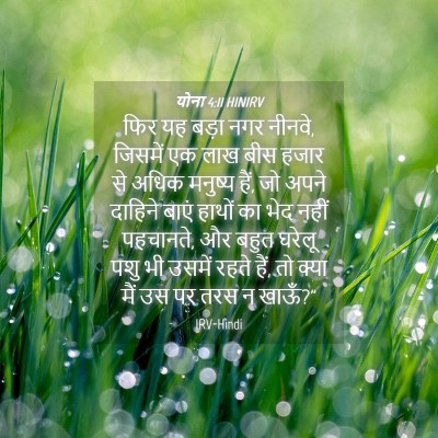 Picture 04 - योना 4:11 HINIRV - फिर यह बड़ा नगर - Bible Verse Picture