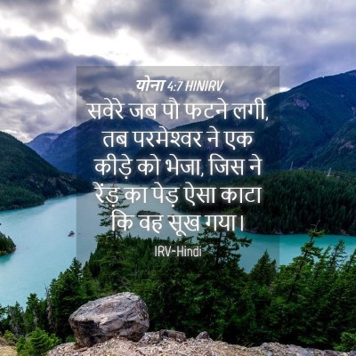 Picture 04 - योना 4:7 HINIRV - सवेरे जब पौ फटने - Bible Verse Picture