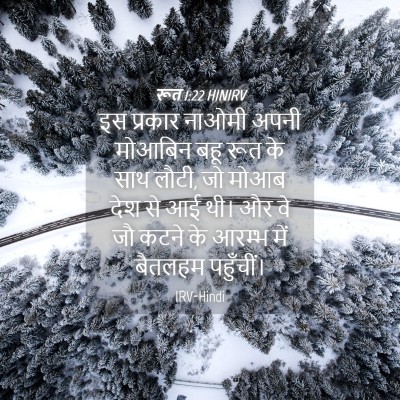 Picture 04 - रूत 1:22 HINIRV - इस प्रकार नाओमी - Bible Verse Picture