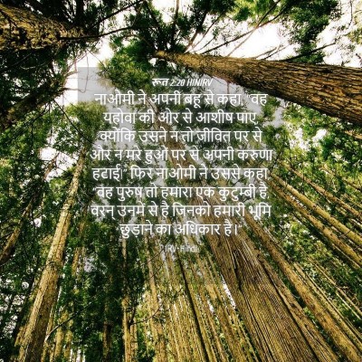 Picture 04 - रूत 2:20 HINIRV - नाओमी ने अपनी बहू - Bible Verse Picture
