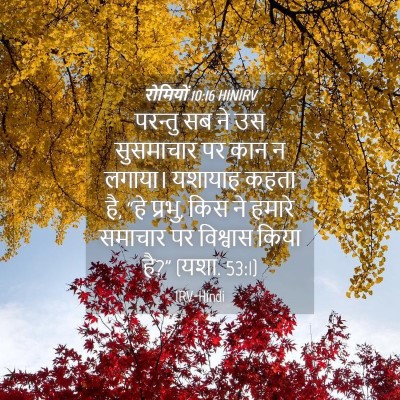 Picture 04 - रोमियों 10:16 HINIRV - परन्तु सब ने उस - Bible Verse Picture