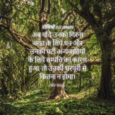 Picture 04 - रोमियों 11:12 HINIRV - अब यदि उनका गिरना - Bible Verse Picture