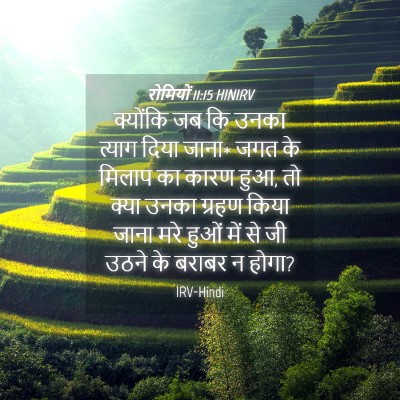 Picture 04 - रोमियों 11:15 HINIRV - क्योंकि जब कि उनका - Bible Verse Picture