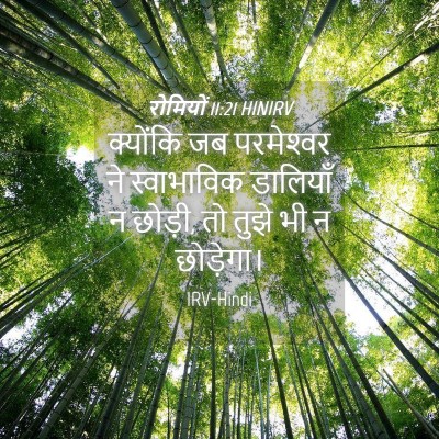 Picture 04 - रोमियों 11:21 HINIRV - क्योंकि जब - Bible Verse Picture