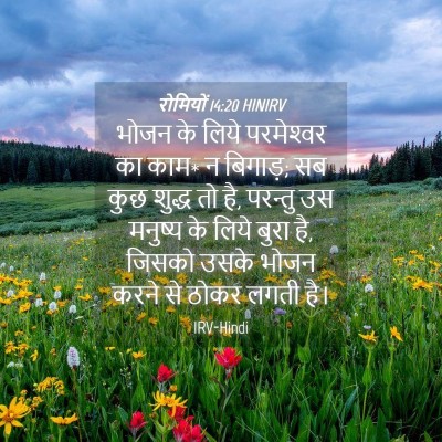 Picture 04 - रोमियों 14:20 HINIRV - भोजन के लिये - Bible Verse Picture