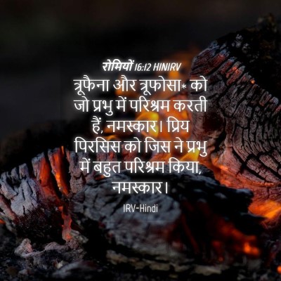 Picture 04 - रोमियों 16:12 HINIRV - त्रूफैना और - Bible Verse Picture