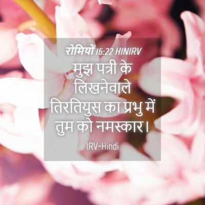 Picture 04 - रोमियों 16:22 HINIRV - मुझ पत्री के - Bible Verse Picture