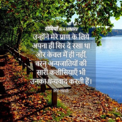 Picture 04 - रोमियों 16:4 HINIRV - उन्होंने मेरे - Bible Verse Picture