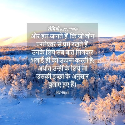 Picture 04 - रोमियों 8:28 HINIRV - और हम जानते हैं, कि - Bible Verse Picture