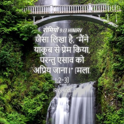 Picture 04 - रोमियों 9:13 HINIRV - जैसा लिखा है, - Bible Verse Picture