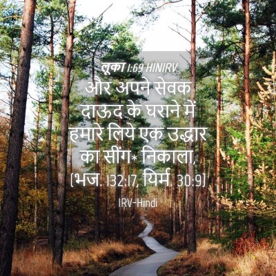 Picture 04 - लूका 1:69 HINIRV - और अपने सेवक दाऊद - Bible Verse Picture