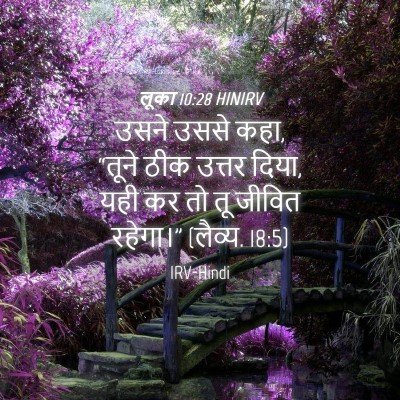 Picture 04 - लूका 10:28 HINIRV - उसने उससे कहा, - Bible Verse Picture