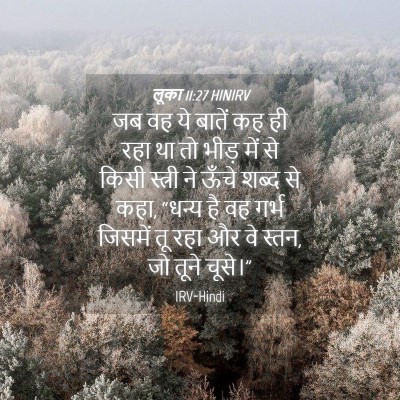 Picture 04 - लूका 11:27 HINIRV - जब वह ये बातें कह - Bible Verse Picture