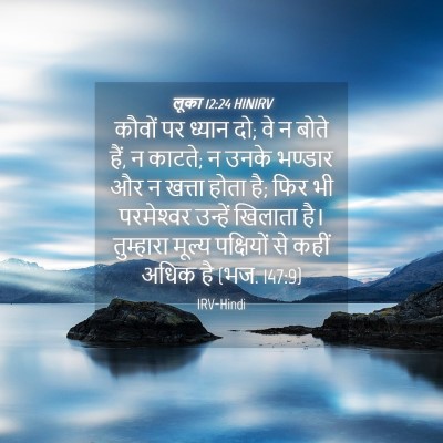 Picture 04 - लूका 12:24 HINIRV - कौवों पर ध्यान दो; - Bible Verse Picture
