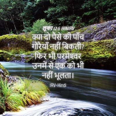 Picture 04 - लूका 12:6 HINIRV - क्या दो पैसे की - Bible Verse Picture