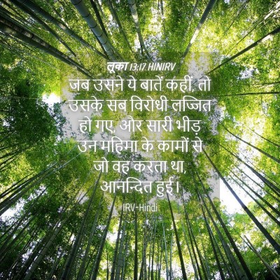 Picture 04 - लूका 13:17 HINIRV - जब उसने ये बातें - Bible Verse Picture